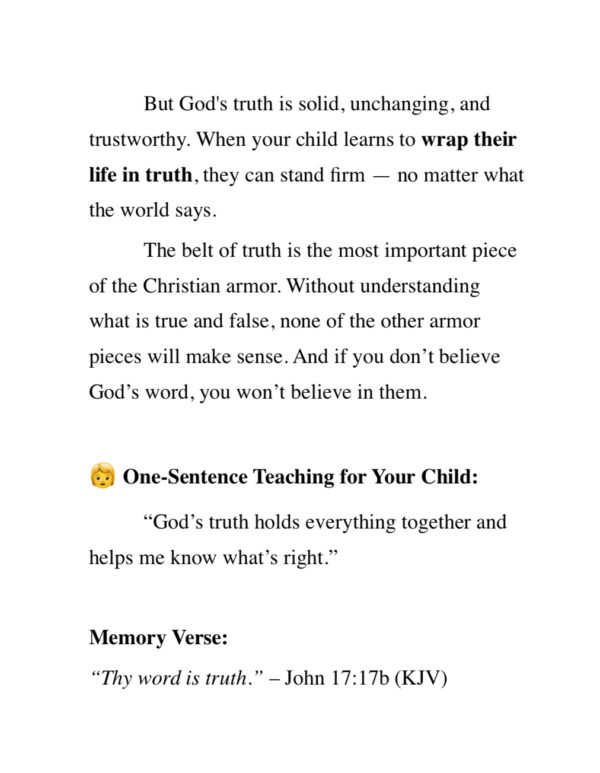 Armor Up! A Parent’s Guide to Raising Christian Warriors - PAPERBACK - Image 9