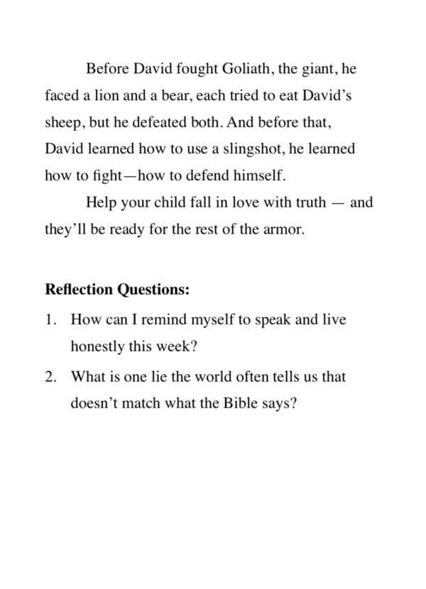 Armor Up! A Parent’s Guide to Raising Christian Warriors - PAPERBACK - Image 12
